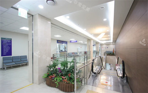 韩国江东圣心医院扶梯