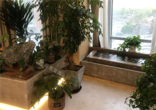 上海九慕医疗美容环境