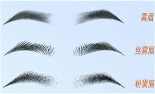 眉毛的各种形态