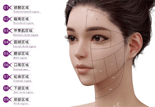 维密金雕治疗部位