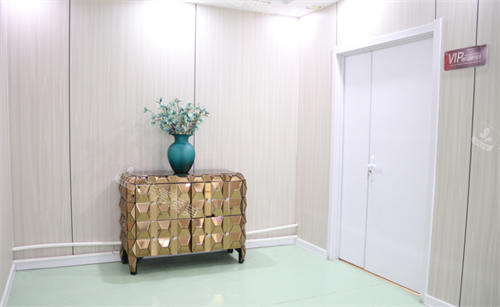 烟台洛神医疗美容医院VIP室