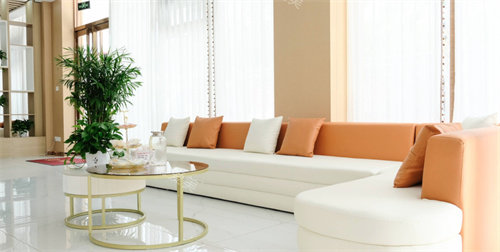 临沂真程植发沙发