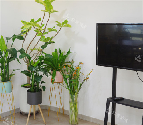 郑州美丽臻医疗美容等候区