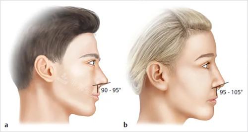 鼻子过长矫正对比