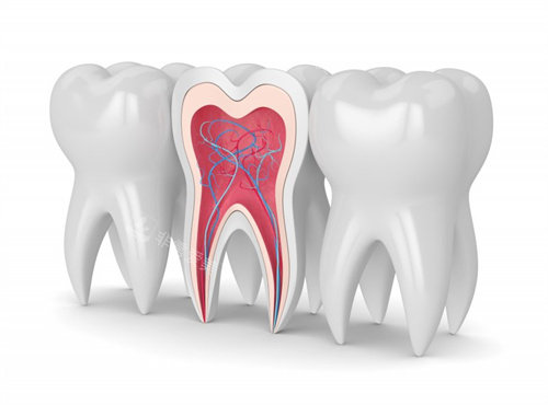 牙齿结构图牙釉质在外层