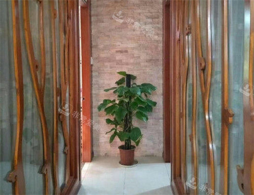 上海爱丽姿整形走廊环境图