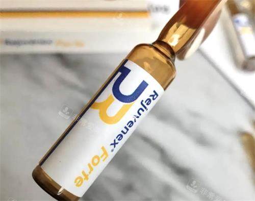 麗珠蘭三文魚實(shí)拍圖