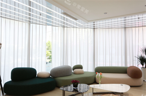 沈陽(yáng)百嘉麗整形沙發(fā)