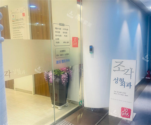 韩国雕刻整形门口环境