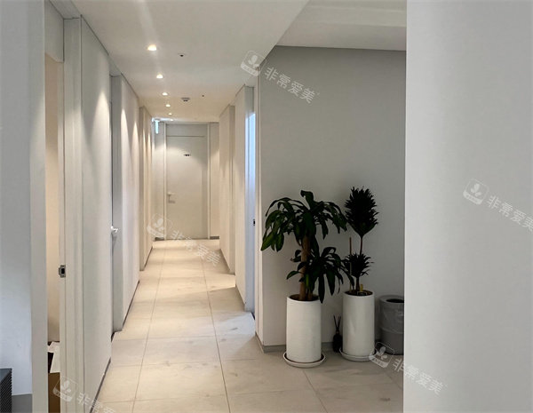 韩国Rappoel皮肤科价格表2026新版:激光/护理/轮廓塑形全解析！