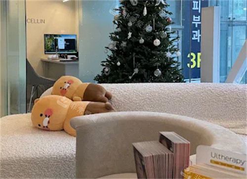 韩国赛琳皮肤科江南店怎么样