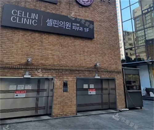 赛琳皮肤科明洞店地址