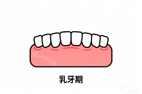 儿童乳牙卡通图