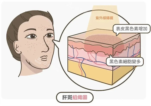 南宁柏乐口腔前台大厅