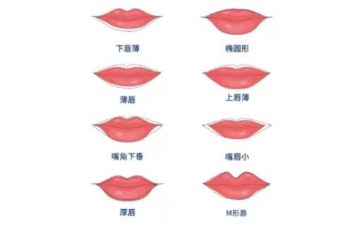 不同唇形卡通图展示 不同唇形卡通图展示