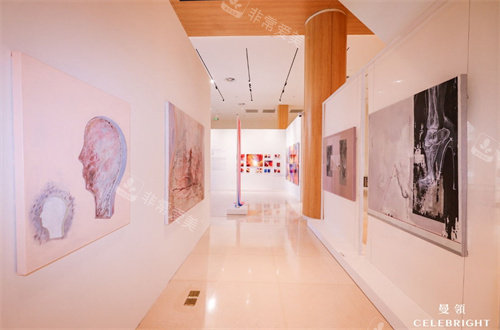 上海曼领医疗美容医院展览区域照片