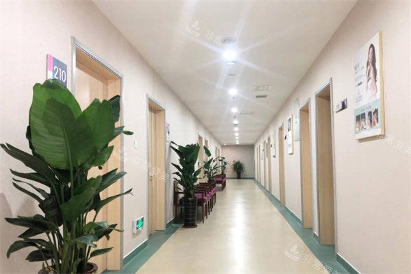 青岛建中植发的走廊