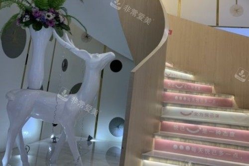 长沙美莱整形楼梯