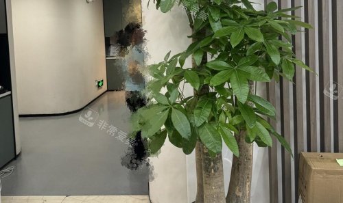 东莞国贸口腔环境示意图