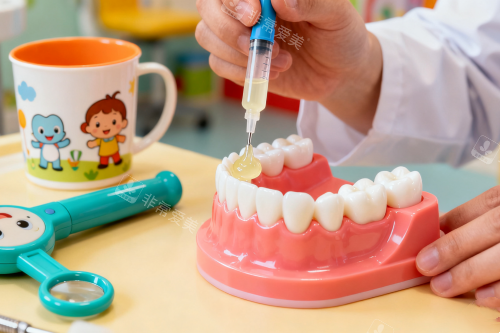 牙齿修复模型展示图