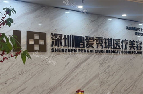 深圳鹏爱秀琪整形logo