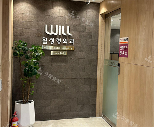 韩国will整形logo墙