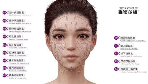 维密金雕可治疗部位