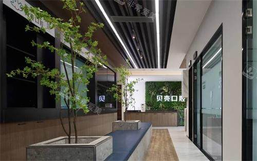 无锡贝壳口腔内部环境