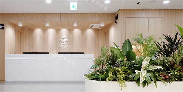 韩国济州岛NowMedi医院前台环境