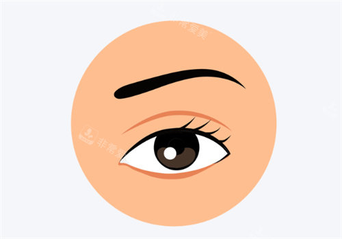 双眼皮卡通图片展示