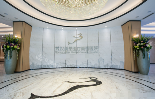 武汉美莱整形大厅logo墙