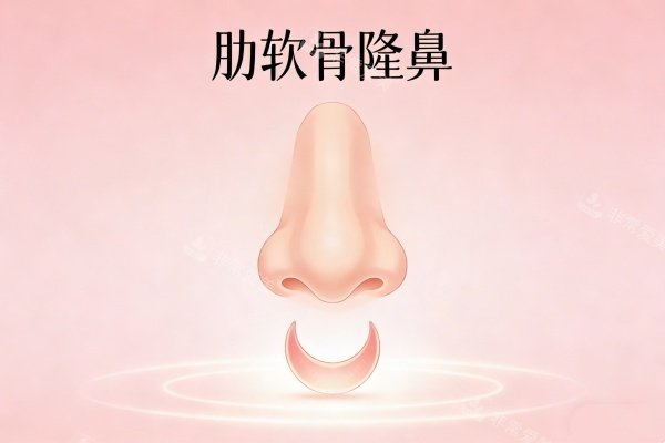 肋软骨隆鼻卡通图一览