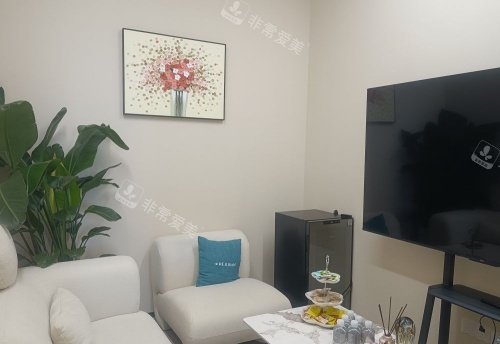 上海绿之星整形接待室示意图