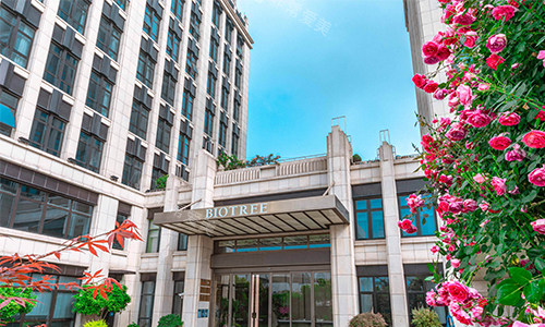 上海生命树整形门头环境