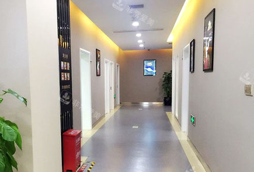 温州牙博士走廊环境图