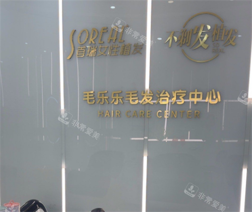 杭州首瑞植发logo图