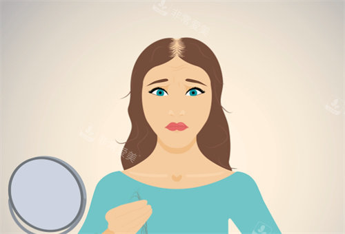 毛发种植卡通图片