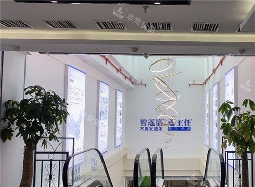 福州碧莲盛植发logo墙