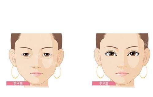 益阳杏林医疗美容医院资料介绍！这份超全资料涵盖医院规模、医生团队和特色！