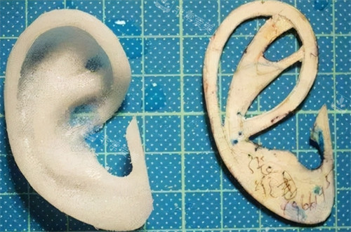 耳再造假体的形状