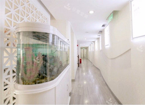 永州博美整形内部过道环境