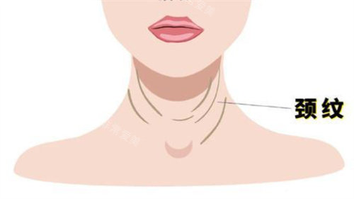 颈纹动画
