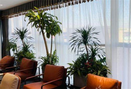 南京江北固德口腔休息区