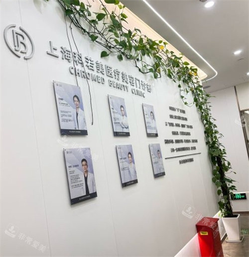 上海科若美医疗美容医生展示墙