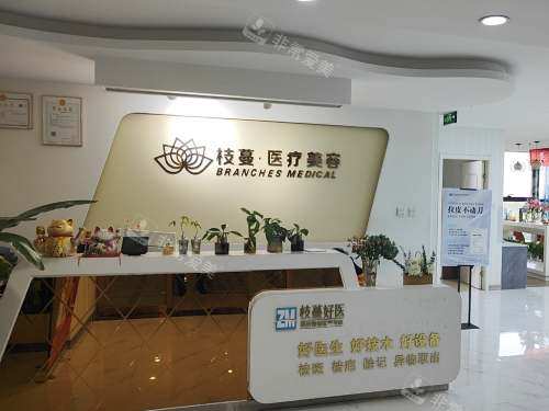 郑州枝蔓医疗美容大厅 郑州枝蔓医疗美容大厅