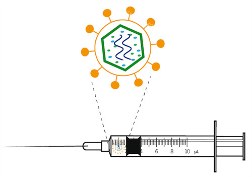 拒绝注射的不明注射物 拒绝注射的不明注射物