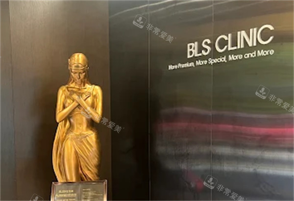 韩国BLS皮肤科医院入口ligo 韩国BLS皮肤科医院入口ligo