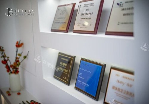 荆州仟之禧整形荣誉示意图