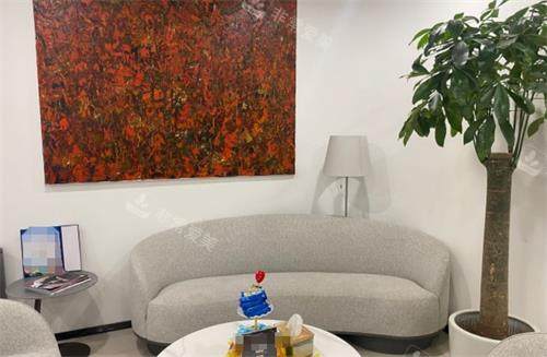 北京丰联丽格医疗美容等候区一角