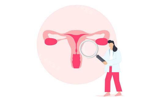 女性私密处卡通图